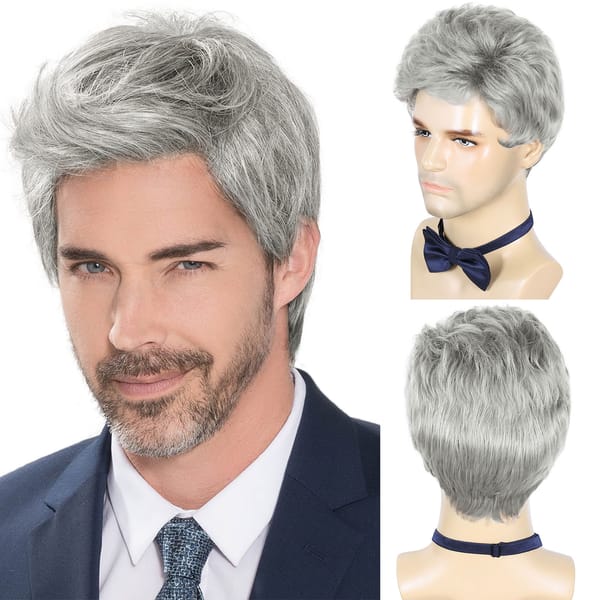 BCHR Mens Grey Wigs Natural Fluffy Layered Synthetic Hair Daily Halloween Wig for Men Male